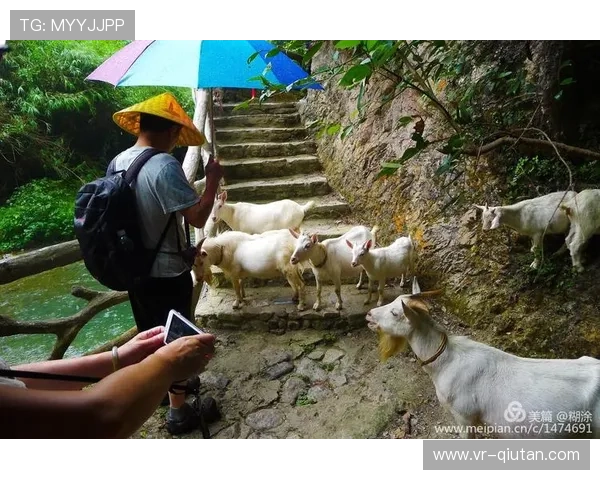 国羽队医宋立佼世锦赛兼职煲汤,营养支援成幕后功臣